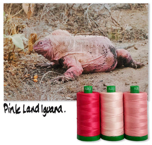Pink Land Iguana Aurifil 40 wt 2021 Color Builders Thread Box