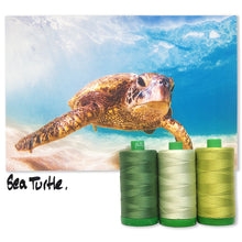Load image into Gallery viewer, Sea Turtle Aurifil 40 wt 2021 Color Builders Thread Box