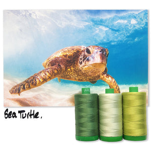 Sea Turtle Aurifil 40 wt 2021 Color Builders Thread Box