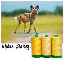 Load image into Gallery viewer, African Wild Dog Aurifil 40 wt 2021 Color Builders Thread Box
