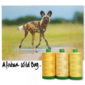 Aurifil Yellow Color Builders 3 pack - 40 wt Cotton thread