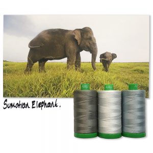 Sumatran Elephant Aurifil 40 wt 2021 Color Builders Thread Box