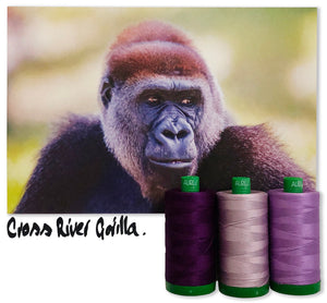 Cross River Gorilla Aurifil 40 wt 2021 Color Builders Thread Box