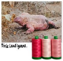 Load image into Gallery viewer, Pink Land Iguana Aurifil 40 wt 2021 Color Builders Thread Box