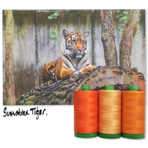 Sumatran Tiger Aurifil 40 wt 2021 Color Builders Thread Box