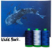 Load image into Gallery viewer, Whale Shark Aurifil 40 wt 2021 Color Builders Thread Box